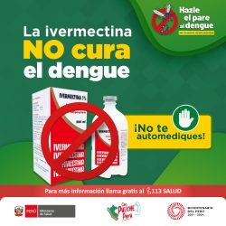 Minsa: Ivermectina no combate el Dengue