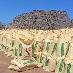 Agro Rural gana concurso de investigación para potenciar los beneficios del guano de las islas