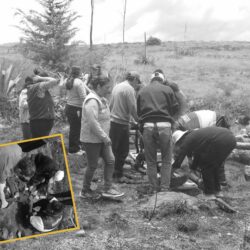 ANCIANOS SUFREN QUEMADURAS EN INCENDIO FORESTAL EN CELENDÍN